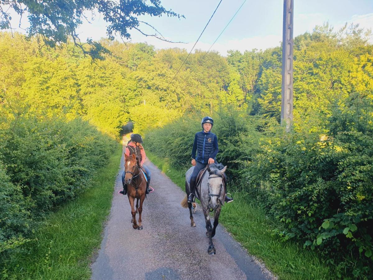 Ferme Equestre & Chambres D'Hotes Gateau Stables Proche Guedelon Saint-Amand-en-Puisaye Ngoại thất bức ảnh