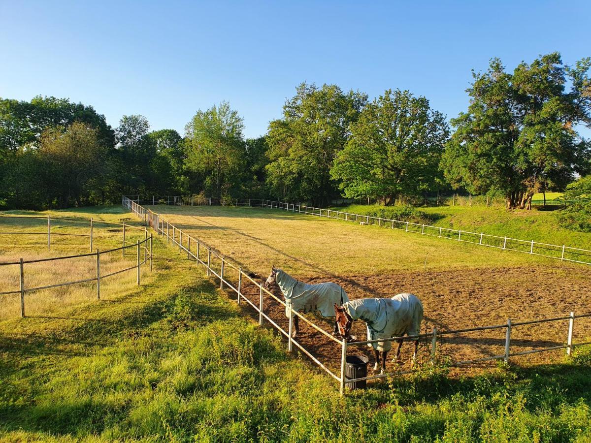 Ferme Equestre & Chambres D'Hotes Gateau Stables Proche Guedelon Saint-Amand-en-Puisaye Ngoại thất bức ảnh