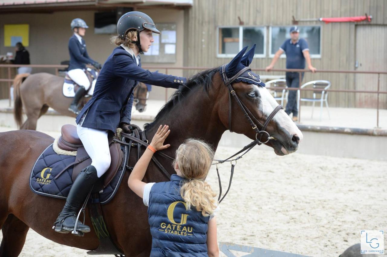 Ferme Equestre & Chambres D'Hotes Gateau Stables Proche Guedelon Saint-Amand-en-Puisaye Ngoại thất bức ảnh