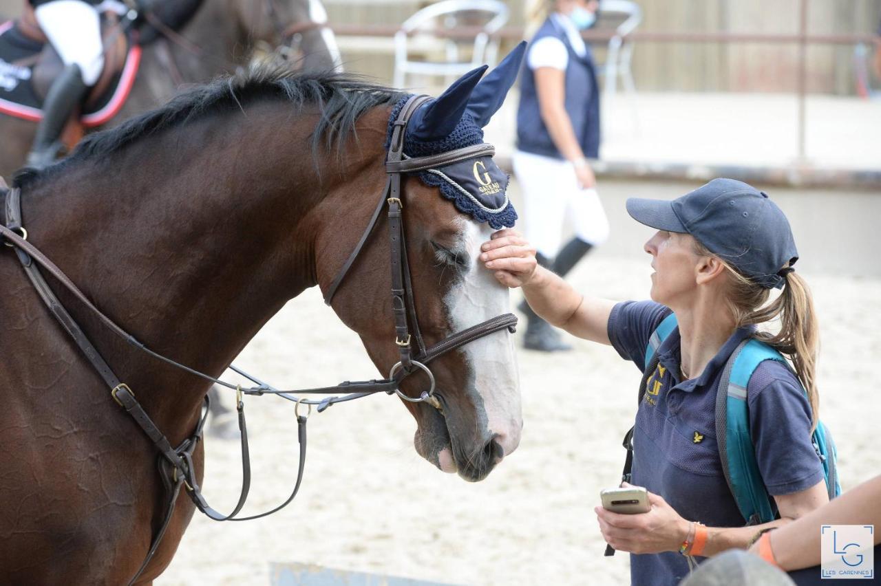 Ferme Equestre & Chambres D'Hotes Gateau Stables Proche Guedelon Saint-Amand-en-Puisaye Ngoại thất bức ảnh