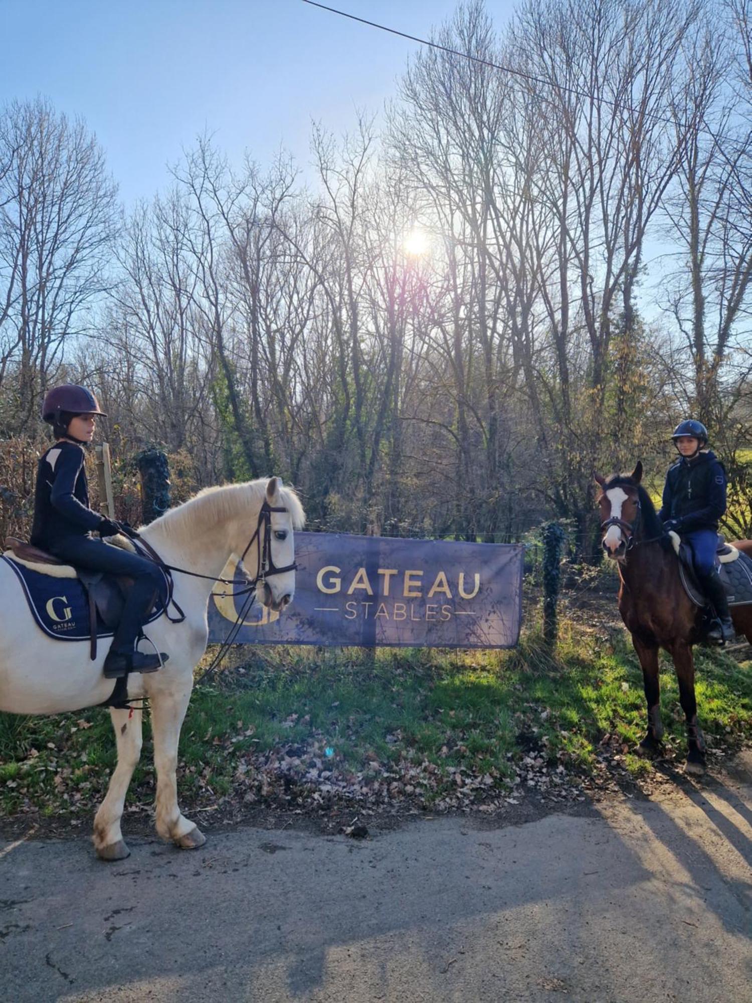 Ferme Equestre & Chambres D'Hotes Gateau Stables Proche Guedelon Saint-Amand-en-Puisaye Ngoại thất bức ảnh