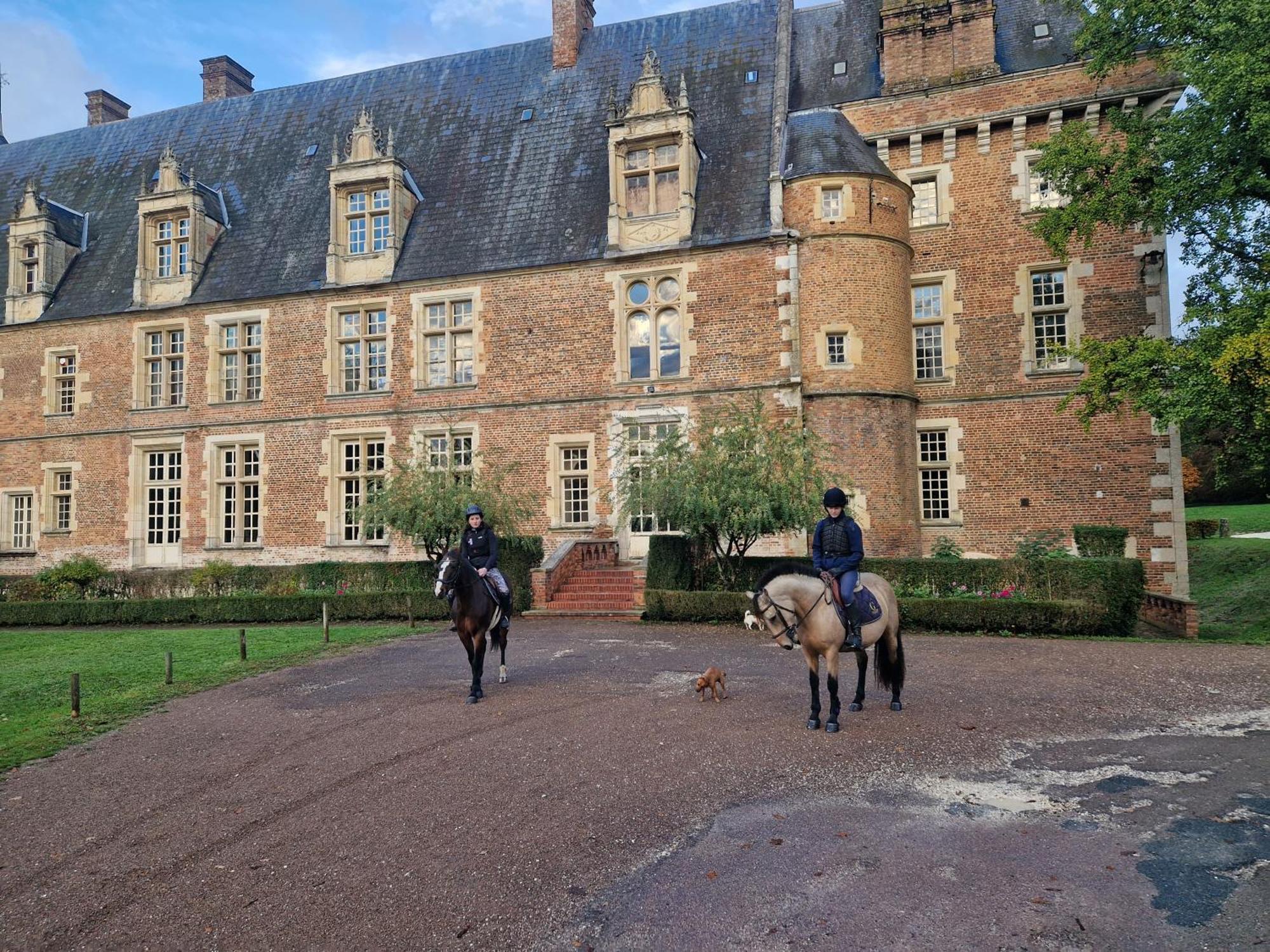 Ferme Equestre & Chambres D'Hotes Gateau Stables Proche Guedelon Saint-Amand-en-Puisaye Ngoại thất bức ảnh