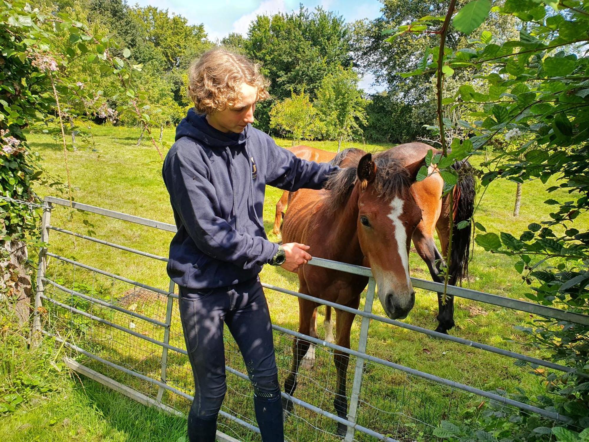Ferme Equestre & Chambres D'Hotes Gateau Stables Proche Guedelon Saint-Amand-en-Puisaye Ngoại thất bức ảnh