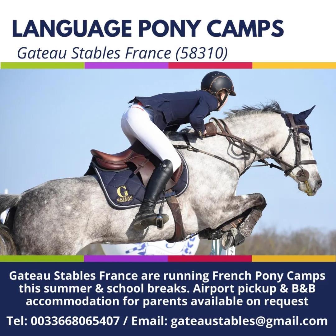 Ferme Equestre & Chambres D'Hotes Gateau Stables Proche Guedelon Saint-Amand-en-Puisaye Ngoại thất bức ảnh