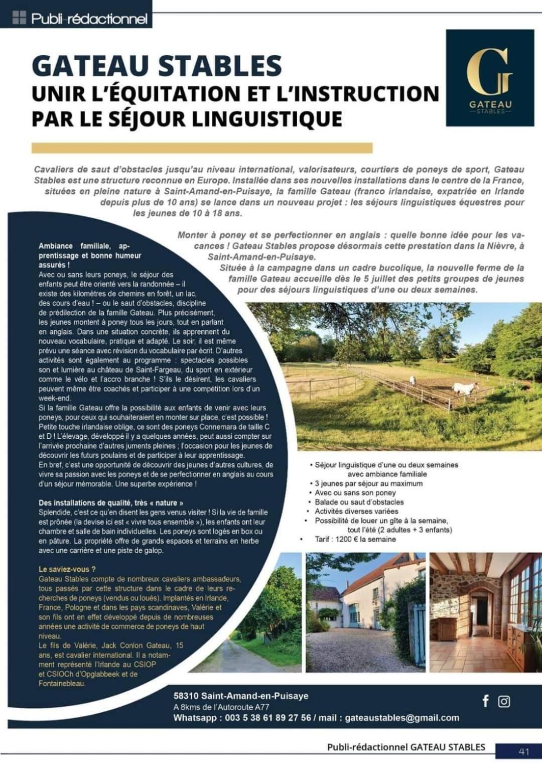 Ferme Equestre & Chambres D'Hotes Gateau Stables Proche Guedelon Saint-Amand-en-Puisaye Ngoại thất bức ảnh